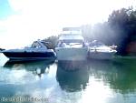 bellavitabarbi1111155.jpg