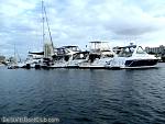 bellavitabarbi1211053.jpg
