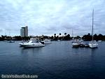 bellavitabarbi1211055.jpg