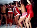 bellavitabarbi1211138.jpg