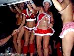 bellavitabarbi1211139.jpg