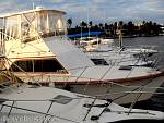 bellavitaeddie1211055.jpg