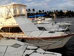bellavitaeddie1211056.jpg