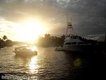 bellavitaeddie1211057.jpg